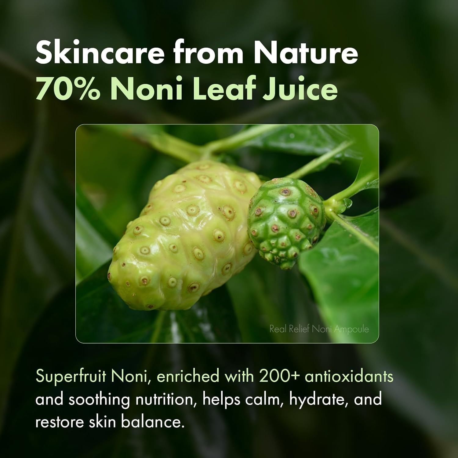 Nourish & Soothe Duo: TOSOWOONG Real Relief Noni Ampoule & Exosome Cica Face Cream for Hydration and Skin Repair - view 3