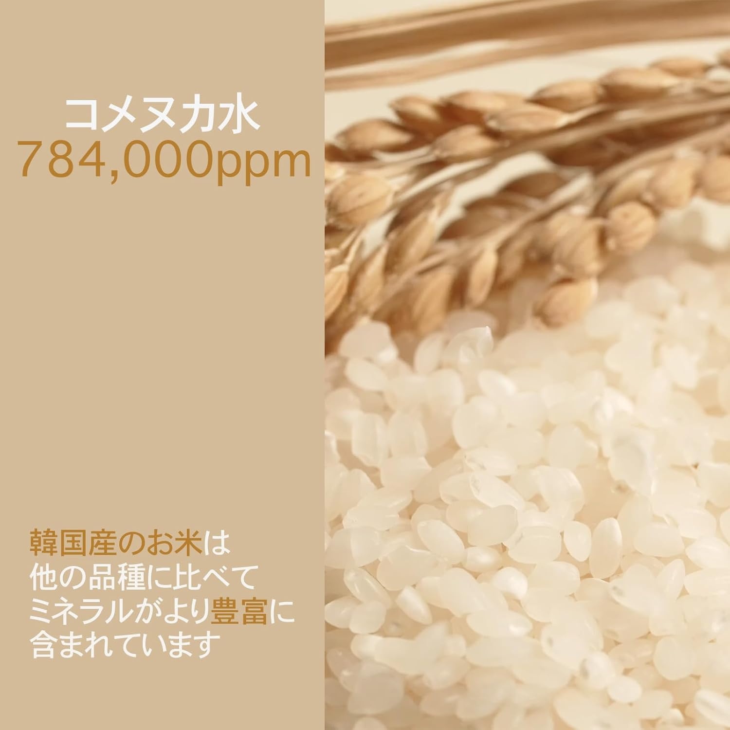 Nourishing Glow Duo: TOSOWOONG Rice Water Toner & Fermented Soybean Cream for Hydrated, Revitalized Skin - view 3