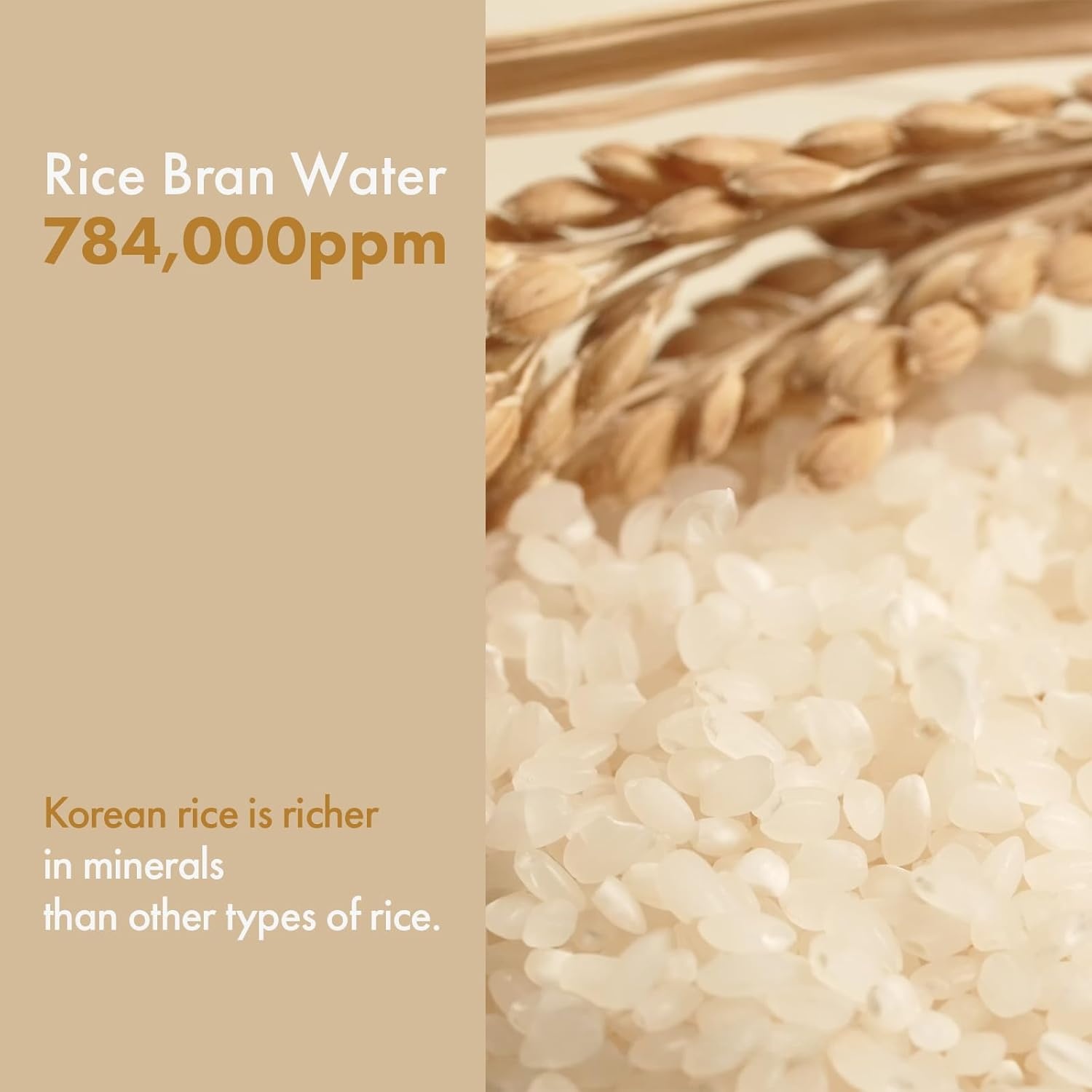 Glow and Moisture Duo: TOSOWOONG Glow Bean Essence & Rice Glow Toner for Smooth, Radiant Complexion - view 6