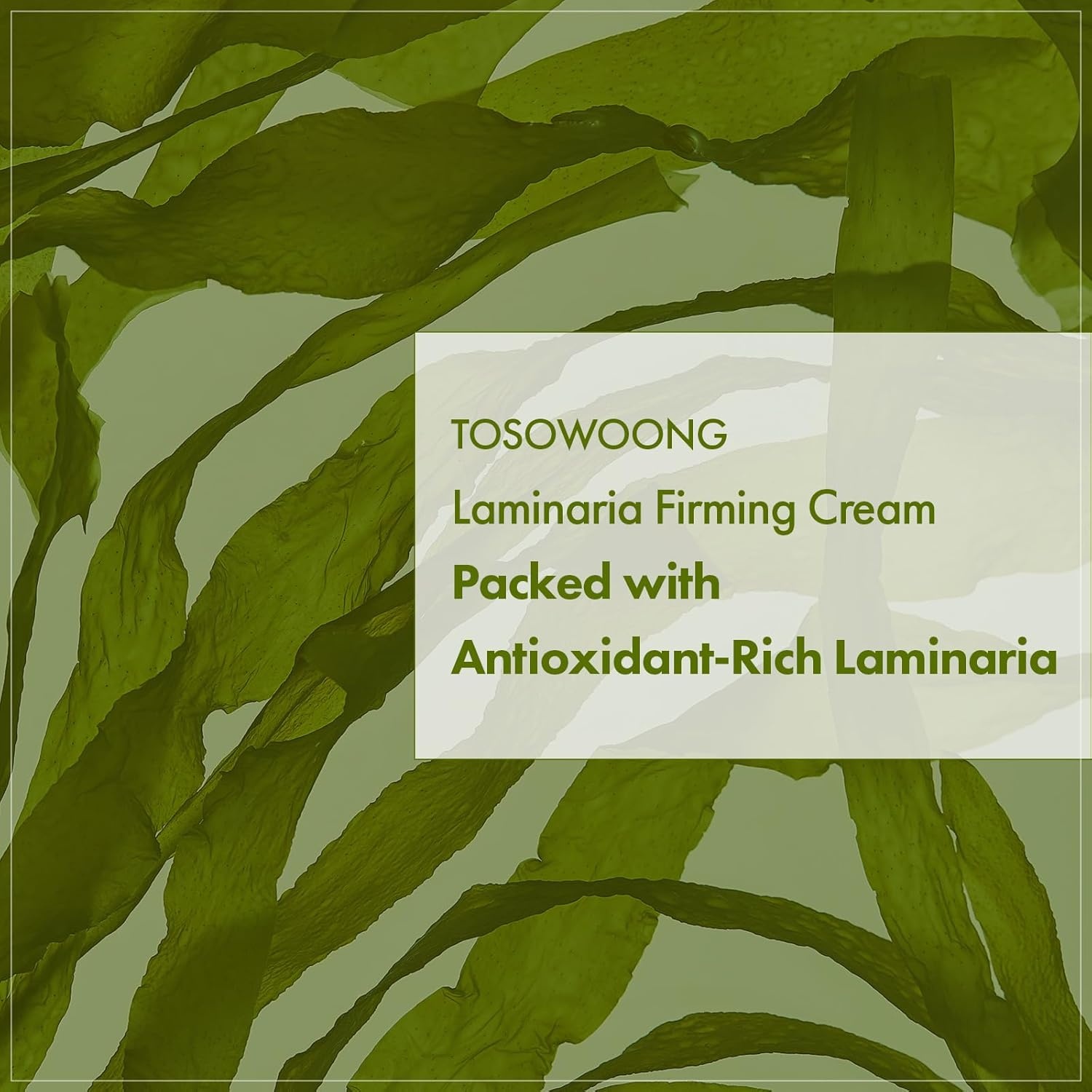TOSOWOONG Laminaria Firming Cream with Niacinamide, Fights Wrinkles & Evens Tone, Firming Anti-Wrinkle Face & Neck Cream, Glycerin & Adenosine, 50g, 1.76 oz. - view 3