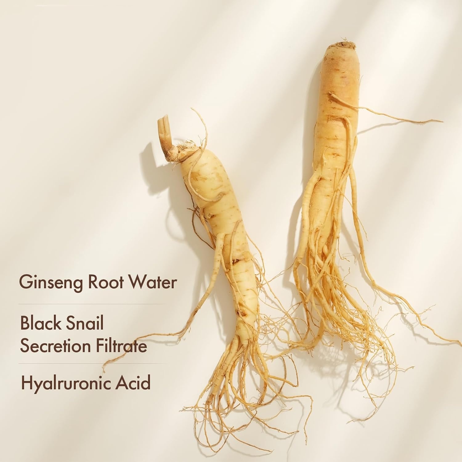 TOSOWOONG Black Snail Ginseng Serum, Ginseng 640,430ppm, Snail Mucin, Hydrating Facial Moisturizer, Acne Scar Remover, Self Care, Glow Skin Under Makeup, Korean Skin Care, 30ml, 1.01 fl. oz. - view 3