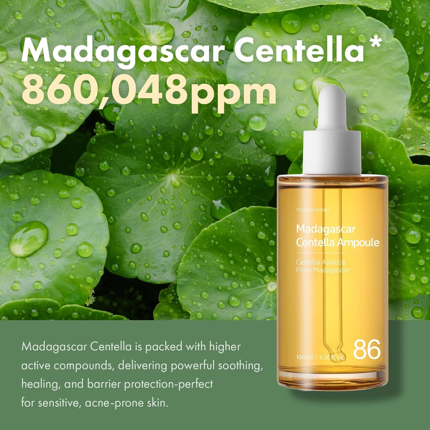 TOSOWOONG Madagascar Centella 86% Ampoule with 860,048ppm Centella Asiatica, Soothing, Calming, Facial Serum for face, for All Skin Types, Korean Skin Care, 100ml, 3.38 fl.oz. - view 3