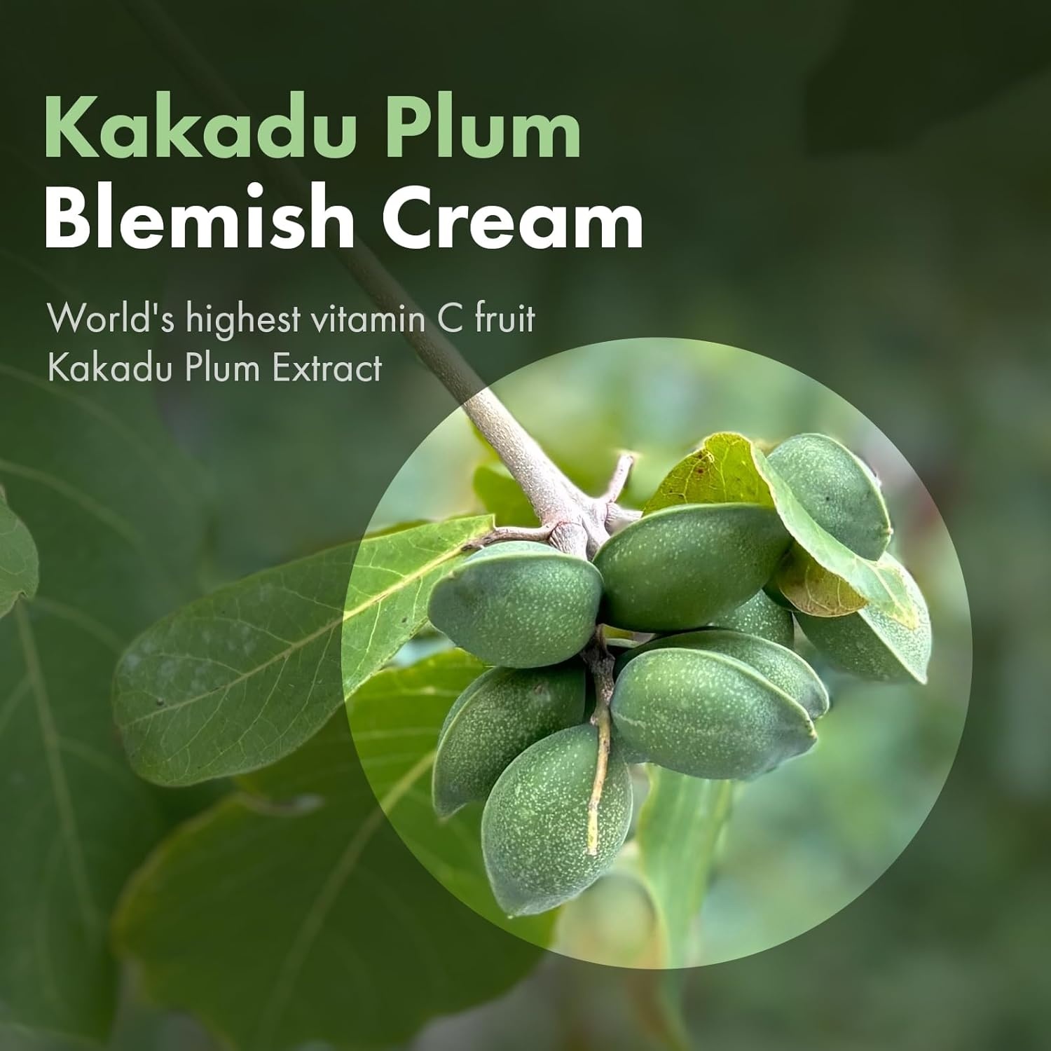 TOSOWOONG Kakadu Plum Blemish Cream, Dark Spot Remover for Face Cream, Kakadu Plum 600,000ppm, Niacinamide, Adenosine, Betaine, Dark Spot Corrector, Vitamin C, Korean Skin Care, 50g, 1.76 oz. - view 3